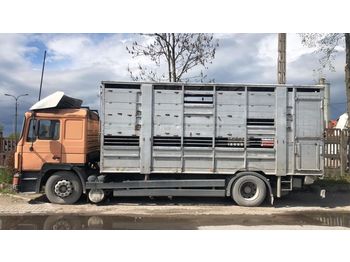 Camión transporte de ganado MAN 19.372: foto 1