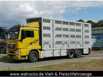 Camión transporte de ganado MAN 26.440 LX Menke 4 Stock Ladelift Hubdach: foto 1