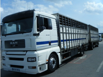Camión transporte de ganado MAN 4x2 WITHOUT TRAILER: foto 1
