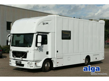 Camión transporte de ganado MAN 7.150 BL TGL, Pferdetransporter,Verkaufsfahrzeug: foto 1