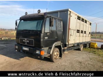Camión transporte de ganado MAN 8.224 mit Einstock Aluaufbau: foto 1