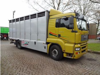 Camión transporte de ganado MAN TGA 18.440 L  Menke Einstock: foto 1