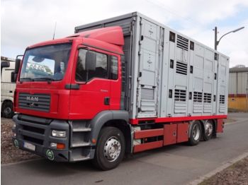 Camión transporte de ganado MAN TGA 26.410 Menke 3 Stock Vollalu: foto 1