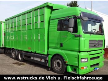 Camión transporte de ganado MAN TGA 26.480 XL KABA  3 Stock Vollalu: foto 1