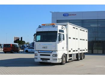 Camión transporte de ganado MAN TGA 26.540 6X2-2 LL RETARDER, FOR  ANIMALS: foto 1