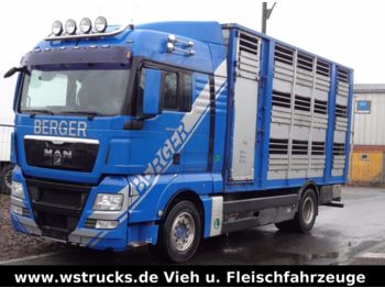 Camión transporte de ganado MAN TGX 18.480 XL mit 3 Stock Aufbau Lüfter: foto 1