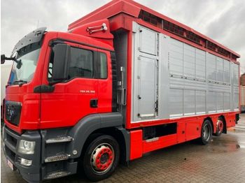 Camión transporte de ganado MAN TGX 26.360 LL Finkl Doppelstock 8,1m: foto 1
