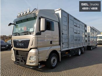 Camión transporte de ganado MAN TGX 26.440/3 Stock /Lenkachse/Intarder /Komplett: foto 1