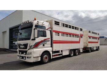 Camión transporte de ganado MAN TGX 26.480: foto 1