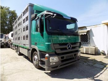 Camión transporte de ganado MERCEDES-BENZ Actros 2548 Élőállatszállító: foto 1