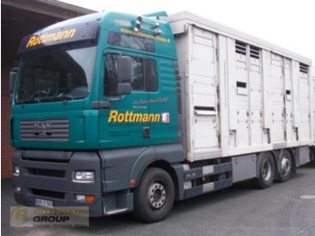 Camión transporte de ganado M.A.N. TGA 26.530 Viehtransporter: foto 1