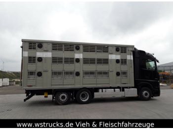 Camión transporte de ganado Mercedes-Benz 2542 Finkl 3 Stock Black Edition Vollausstattung: foto 1