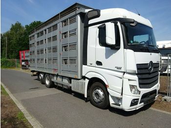 Camión transporte de ganado Mercedes-Benz 2542 KABA 4 Stock  Vollausstattung: foto 1