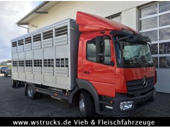 Camión transporte de ganado Mercedes-Benz 821L" Neu" WST Edition" Menke Einstock Vollalu: foto 1