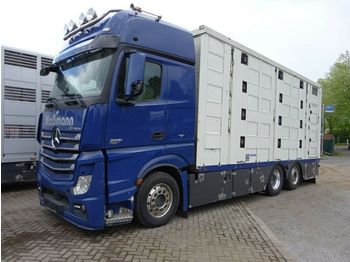 Camión transporte de ganado Mercedes-Benz Actros  2551 Menke 4 Stock Vollalu Hubach: foto 1