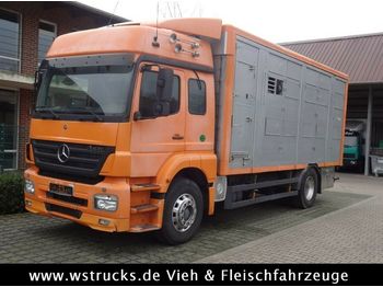 Camión transporte de ganado Mercedes-Benz  Axor 1833 2 Stock Michieletto: foto 1