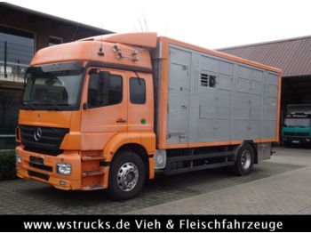 Camión transporte de ganado Mercedes-Benz Axor 1833 2 Stock Michieletto: foto 1