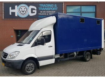 Camión transporte de ganado para transporte de animales Mercedes-Benz SPRINTER - NIEUWE MOTOR !! 315: foto 1