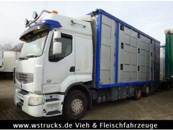 Camión transporte de ganado Renault 450 DXI  Menke 3 Stock Hubdach: foto 1