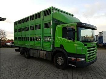Camión transporte de ganado SCANIA P340: foto 1