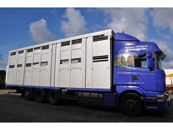 Camión transporte de ganado SCANIA R480LB8X4*4HNB: foto 1
