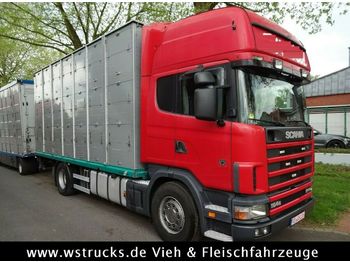 Camión transporte de ganado Scania 164/580 164/580Topline 2 Stock: foto 1