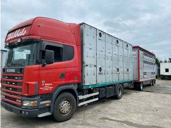 Camión transporte de ganado Scania 164/580  Topline 2 Stock V8 Pezzaioli Anhänger: foto 1