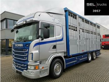 Camión transporte de ganado Scania G 480 LB6x2*4HNB / 3 Stock /  Retarder: foto 1