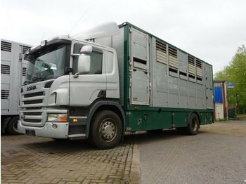 Camión transporte de ganado Scania P 380 mitt Menke Doppelstock: foto 1