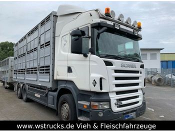 Camión transporte de ganado Scania R 440 Highline  3 Stock Pezzaioli: foto 1