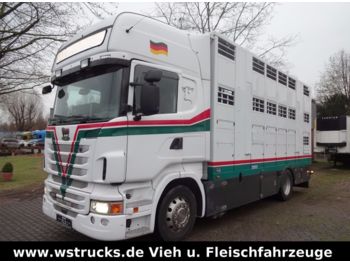 Camión transporte de ganado Scania R 480 Topline Typ 2 ,  Vollalu , Doppelstock: foto 1