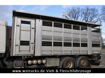 Camión transporte de ganado Scheuwimmer BDF 2 Stock Aufbau Hubdach: foto 1