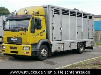 Transporte de ganado camión MAN 15.220 Menke Einstock