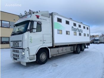Camión transporte de ganado VOLVO FH540: foto 1