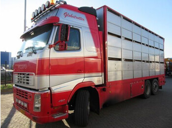 Camión transporte de ganado Volvo FH12 6X2R FAL8.0 RADT-A8 HIGH: foto 1