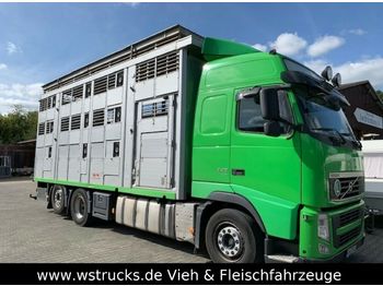 Camión transporte de ganado Volvo FH 440 Globe XL 3 Stock Hubdach: foto 1