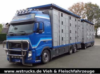 Camión transporte de ganado Volvo FH 460 Globe XL  Menke 4 Stock Kompletter Zug: foto 1