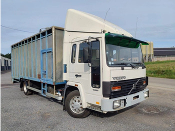 Volvo FL 611 Beestenbak / animal truck - Camión transporte de ganado: foto 2