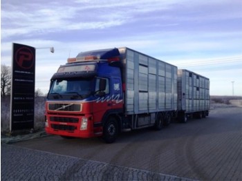 Camión transporte de ganado Volvo FM12 420 Animal transport with henger - Euro 3: foto 1