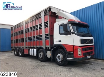 Camión transporte de ganado Volvo FM13 400 8x2, Steel suspension, Retarder, Manual: foto 1