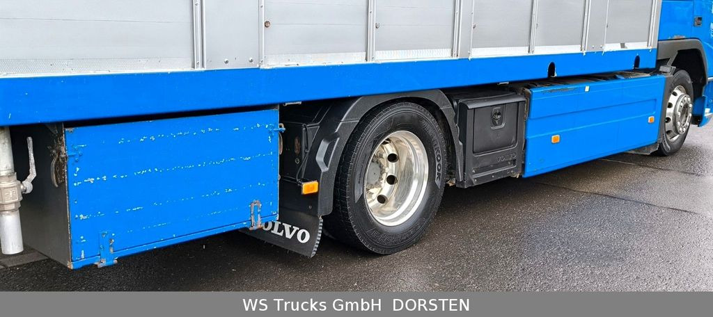 Camión transporte de ganado Volvo FM 360 Stehmann 2 Stock Hohe Gitter: foto 9