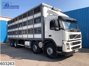 Camión transporte de ganado Volvo FM 380 8x2, 12 wheels, Retarder, Animal transport, 3 layers, Manual, Steel suspension: foto 1