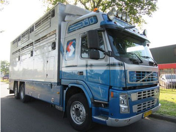 Camión transporte de ganado Volvo FM 9: foto 3