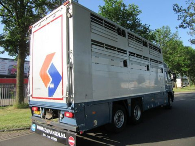 Camión transporte de ganado Volvo FM 9: foto 18