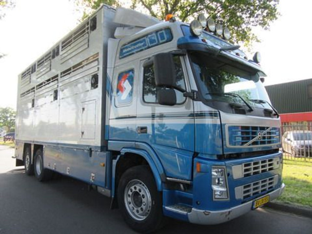 Camión transporte de ganado Volvo FM 9: foto 3
