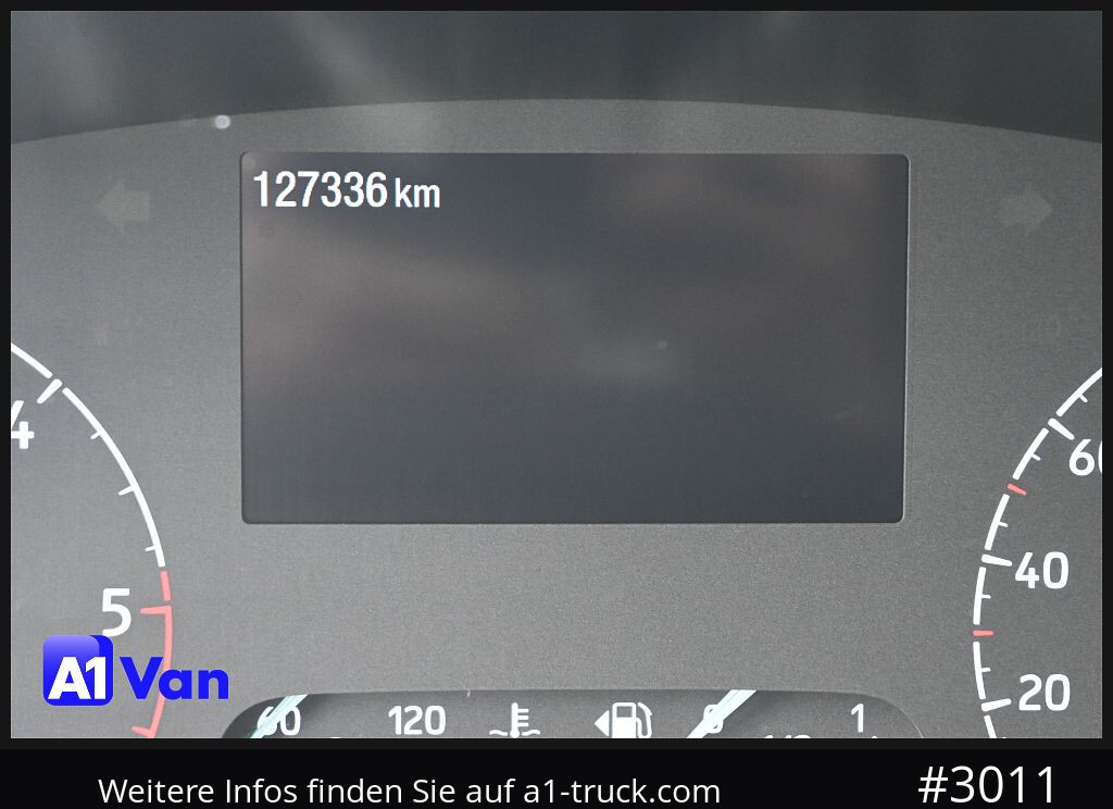 Furgón FORD Transit 350 Trail, Klima,RFK, Navi, AHK, Leder