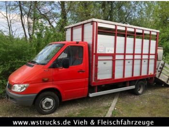 Furgoneta caja cerrada para transporte de animales Mercedes-Benz Sprinter 413 Einstock: foto 1