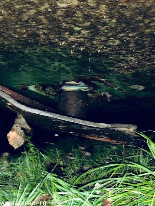 Maquinaria agrícola Girobroyeur DESVOYS - 190x230 - bon état général - 445kg - 540tours