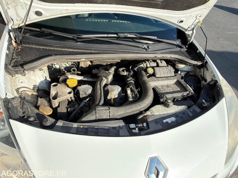 Coche Clio III