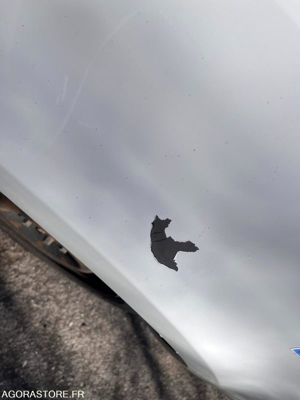 Coche RENAULT CLIO